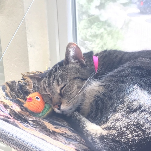 Meet your Posher, Angela - Picture 1 of 1